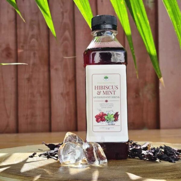 Hibiscus & Mint Drink 330ml